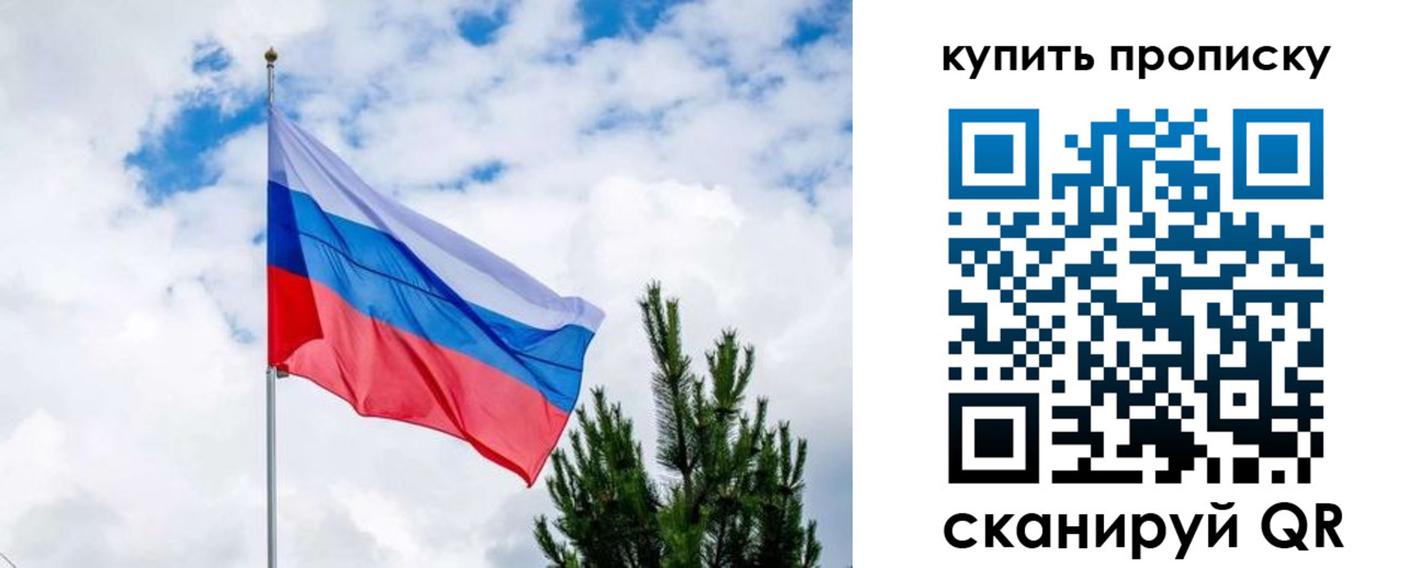 временная регистрация 2025 в Коле